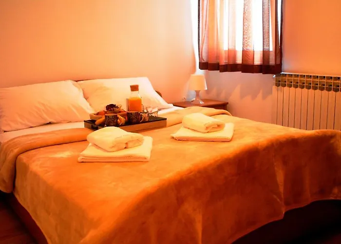 Ideal Location 公寓 扎达尔