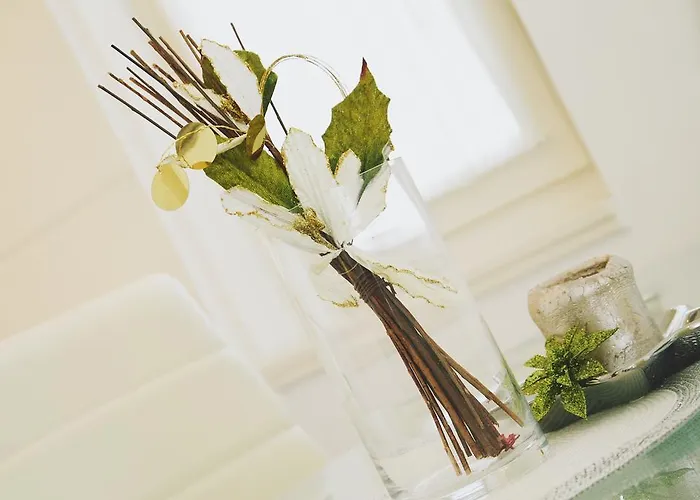 Ideal Location 公寓 扎达尔